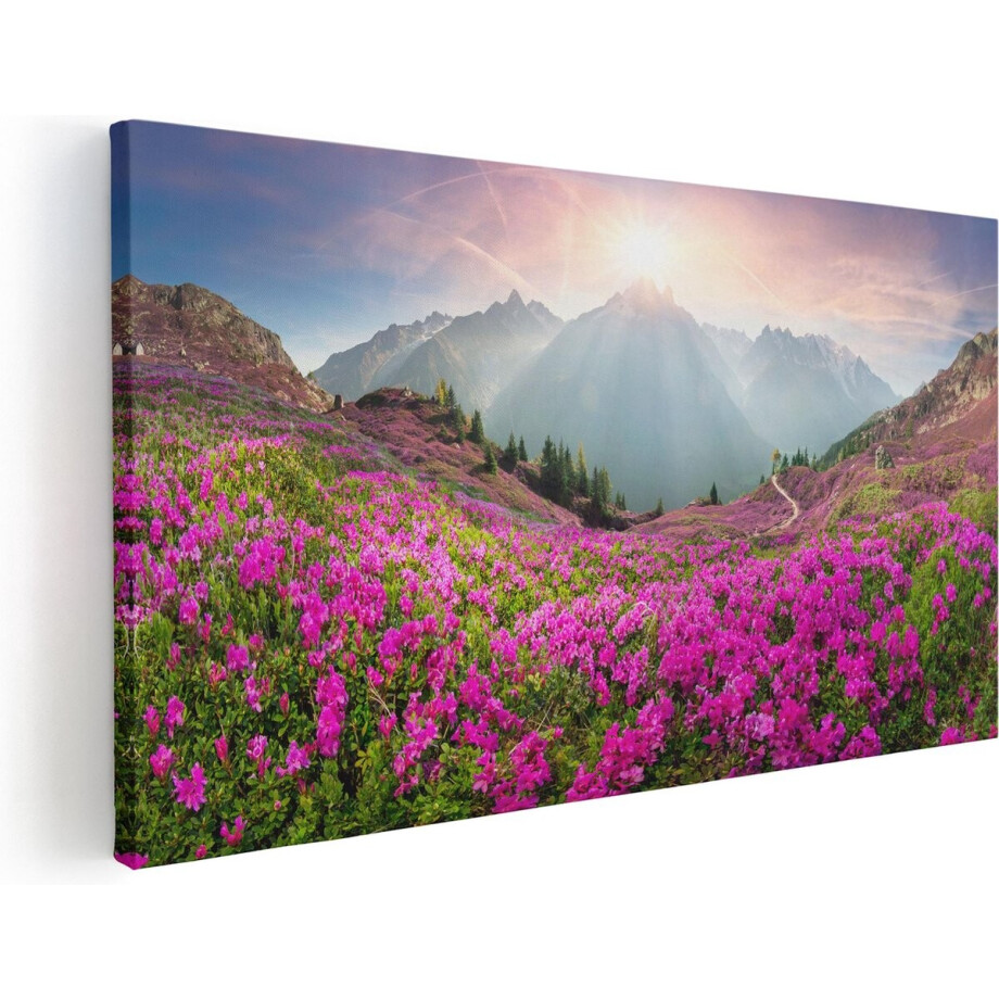 Artaza Canvas Schilderij Berglandschap - 40x20 cm - Klein - Wanddecoratie Bloemenveld - Muurdecoratie Bergen - Decoratie Zonsopgang Artaza Canvas Schilderij Berglandschap - 40x20 cm - Klein - Wanddecoratie Bloemenveld - Muurdecoratie Bergen - Decoratie Zonsopgang afbeelding 1