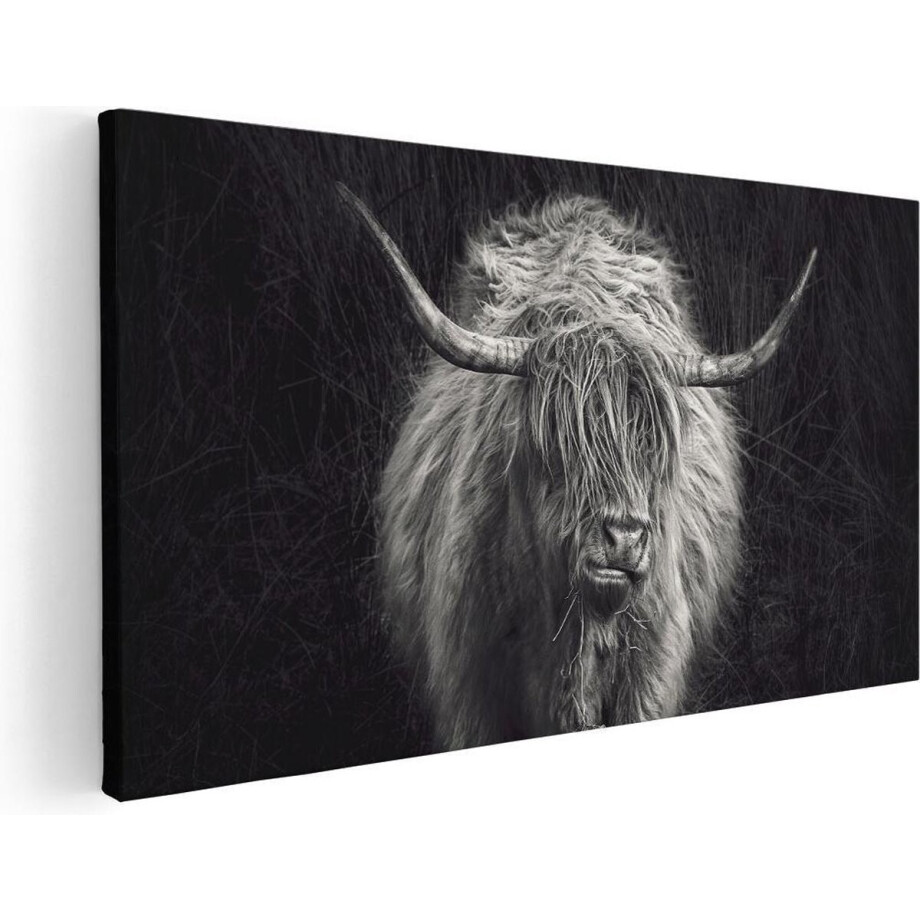 Artaza Canvas Schilderij Schotse Hooglander Koe - Zwart Wit - 120x60 - Groot - Foto Op Canvas - Canvas Print Artaza Canvas Schilderij Schotse Hooglander Koe - Zwart Wit - 120x60 - Groot - Foto Op Canvas - Canvas Print afbeelding 1