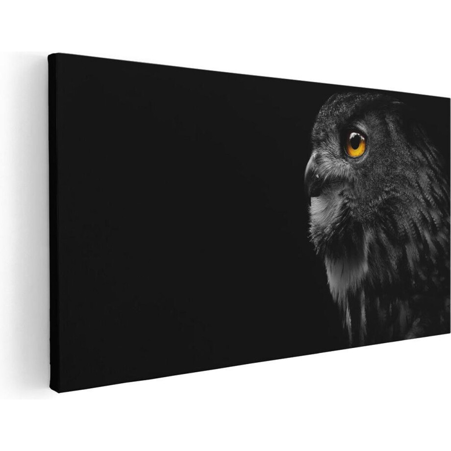 Artaza Canvas Schilderij Uil - 40x20 cm - Klein - Wanddecoratie Dieren - Muurdecoratie Vogels - Schilderijen Op Canvas Zwart Wit Artaza Canvas Schilderij Uil - 40x20 cm - Klein - Wanddecoratie Dieren - Muurdecoratie Vogels - Schilderijen Op Canvas Zwart Wit afbeelding 1