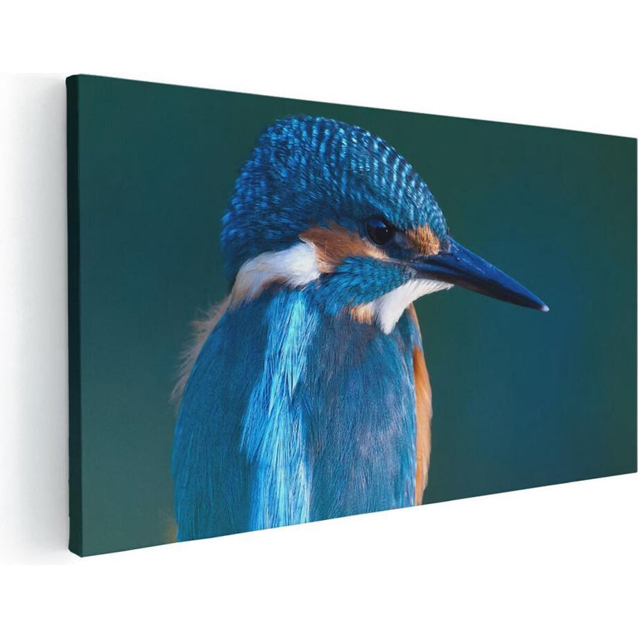Artaza Canvas Schilderij Blauwe IJsvogel Op Een Tak - 100x50 cm - Groot - Wanddecoratie Woonkamer - Schilderijen - Muurdecoratie Artaza Canvas Schilderij Blauwe IJsvogel Op Een Tak - 100x50 cm - Groot - Wanddecoratie Woonkamer - Schilderijen - Muurdecoratie afbeelding 1