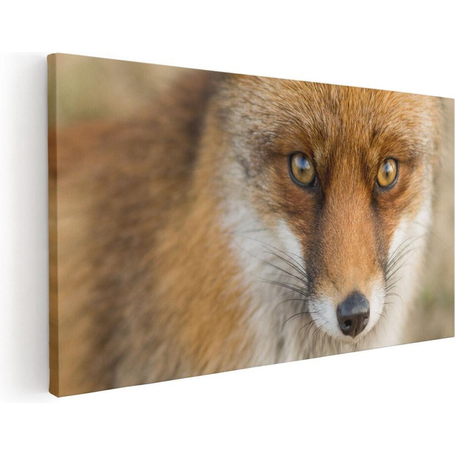 Artaza Canvas Schilderij Vossenkop met Bruine Ogen - Vos - 80x40 - Foto Op Canvas - Canvas Print afbeelding 1