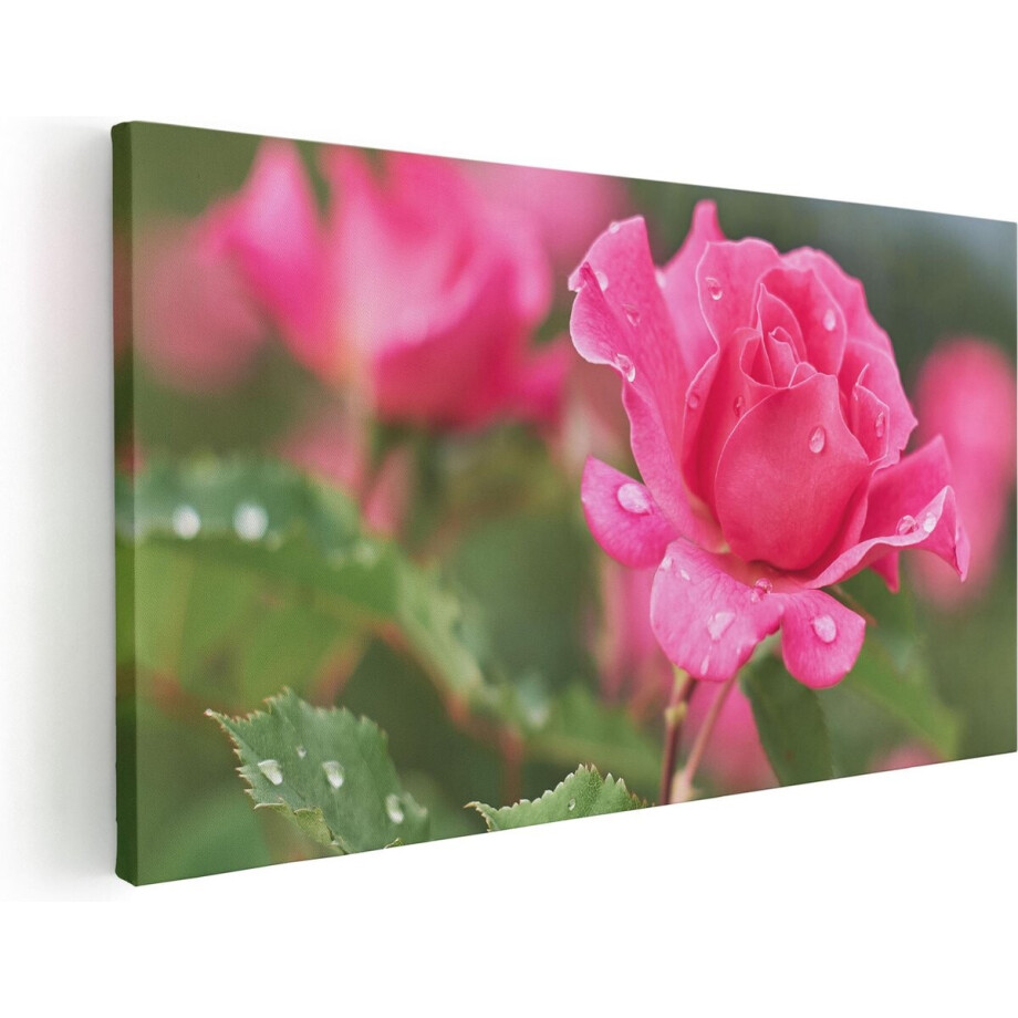 Artaza Canvas Schilderij Roze Roos Met Waterdruppels - 120x60 - Groot - Foto Op Canvas - Canvas Print Artaza Canvas Schilderij Roze Roos Met Waterdruppels - 120x60 - Groot - Foto Op Canvas - Canvas Print afbeelding 1