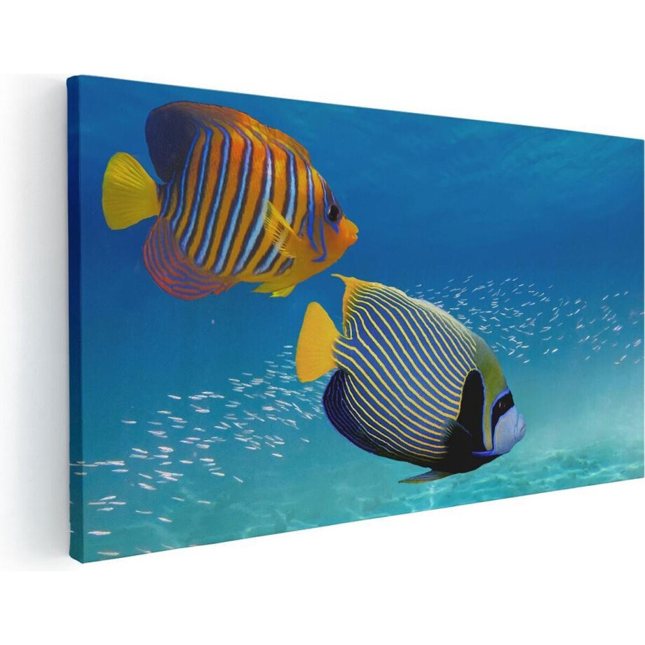 Artaza Canvas Schilderij Twee Tropische Vissen in de Rode Zee - 120x60 - Groot - Foto Op Canvas - Canvas Print Artaza Canvas Schilderij Twee Tropische Vissen in de Rode Zee - 120x60 - Groot - Foto Op Canvas - Canvas Print afbeelding 1