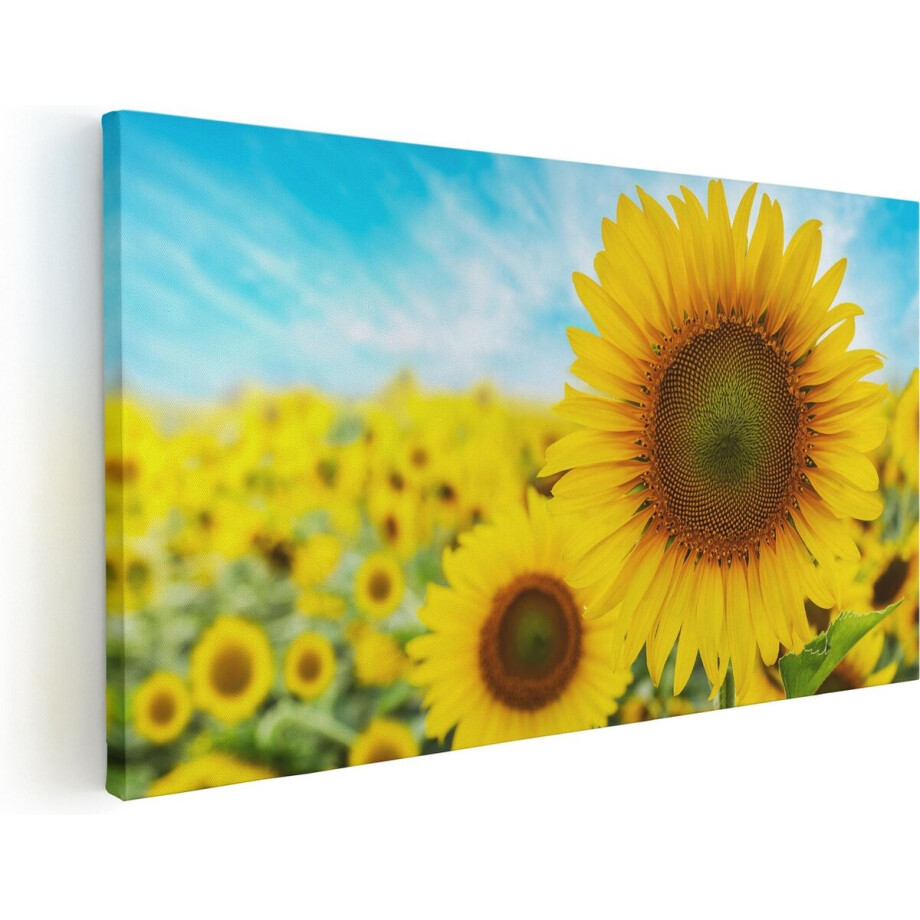 Artaza Canvas Schilderij Zonnebloem - 120x60 cm - Groot - Wanddecoratie Bloemenveld - Muurdecoratie Woonkamer - Decoratie Natuur Artaza Canvas Schilderij Zonnebloem - 120x60 cm - Groot - Wanddecoratie Bloemenveld - Muurdecoratie Woonkamer - Decoratie Natuur afbeelding 1