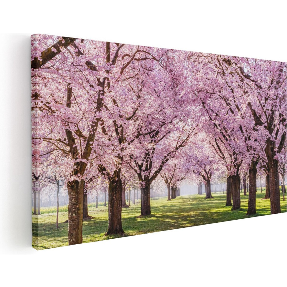 Artaza Canvas Schilderij Roze Bloesembomen Park - Bloemen - 60x30 cm - Wanddecoratie Woonkamer - Schilderijen - Muurdecoratie Artaza Canvas Schilderij Roze Bloesembomen Park - Bloemen - 60x30 cm - Wanddecoratie Woonkamer - Schilderijen - Muurdecoratie afbeelding 1