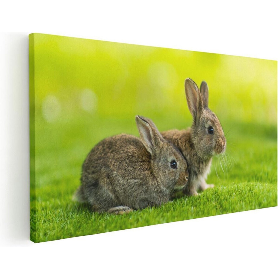 Artaza Canvas Schilderij Twee Konijnen Op Het Groene Gras - 120x60 - Groot - Foto Op Canvas - Canvas Print afbeelding 1