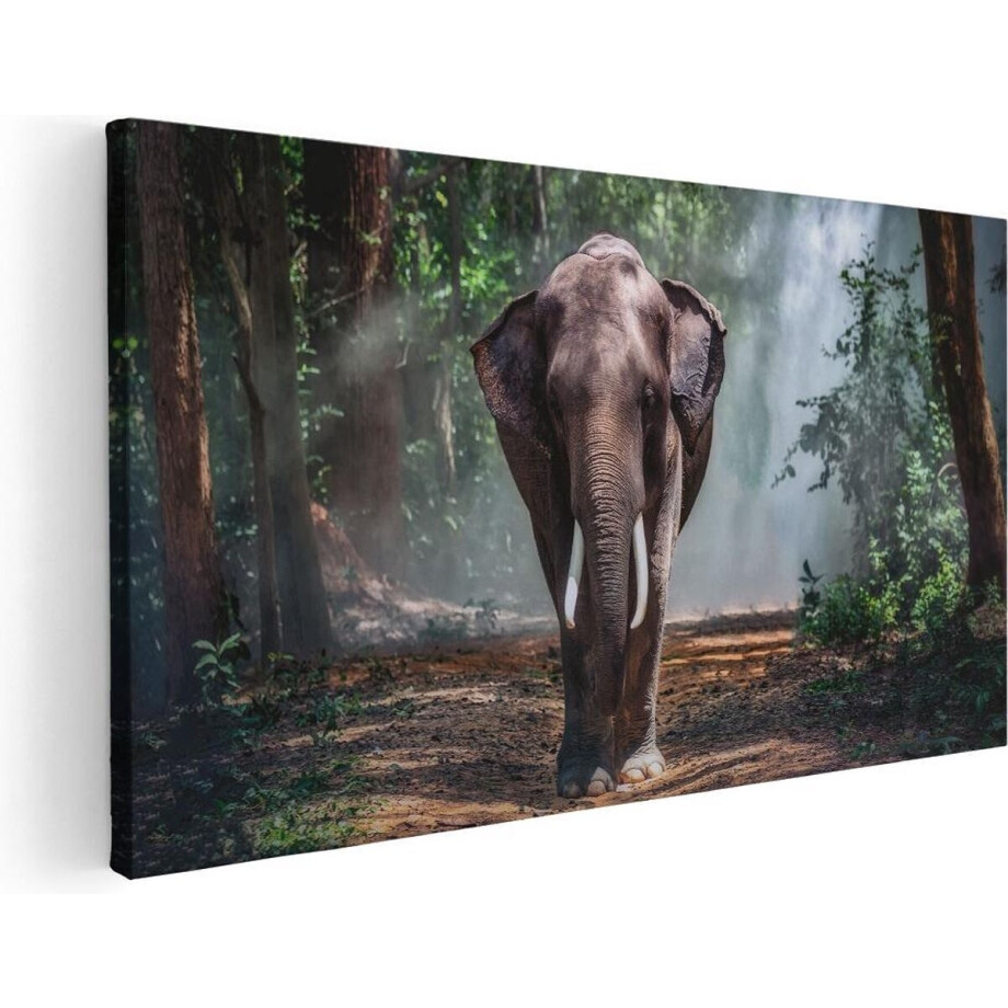 Artaza Canvas Schilderij Olifant - 100x50 cm - Wanddecoratie Bos - Muurdecoratie Jungle - Schilderijen Op Canvas Dieren Artaza Canvas Schilderij Olifant - 100x50 cm - Wanddecoratie Bos - Muurdecoratie Jungle - Schilderijen Op Canvas Dieren afbeelding 1