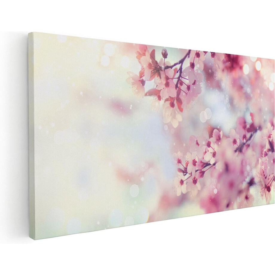 Artaza Canvas Schilderij Roze Bloesemboom Met Zonneschijn - 40x20 - Klein - Foto Op Canvas - Canvas Print afbeelding 1