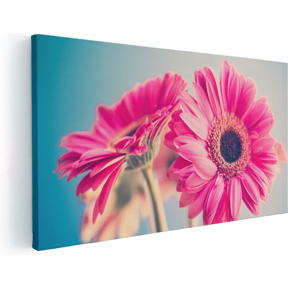 Artaza Canvas Schilderij Gerbera - 60x30 cm - Muurdecoratie Bloemen - Wanddecoratie Woonkamer - Kamer Accessoires Artaza Canvas Schilderij Gerbera - 60x30 cm - Muurdecoratie Bloemen - Wanddecoratie Woonkamer - Kamer Accessoires afbeelding 1