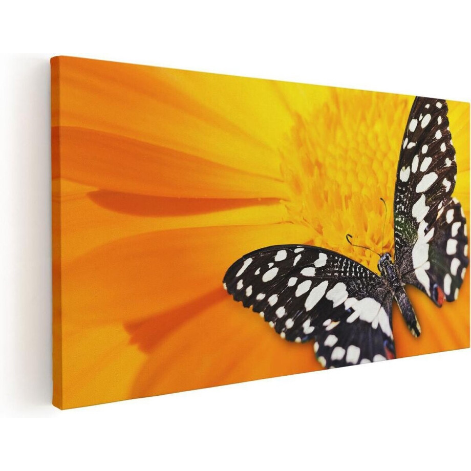 Artaza Canvas Schilderij Vlinder Op Bloem - 80x40 cm - Wanddecoratie Bloemen - Muurdecoratie Vlinders - Decoratie Woonkamer Artaza Canvas Schilderij Vlinder Op Bloem - 80x40 cm - Wanddecoratie Bloemen - Muurdecoratie Vlinders - Decoratie Woonkamer afbeelding 1