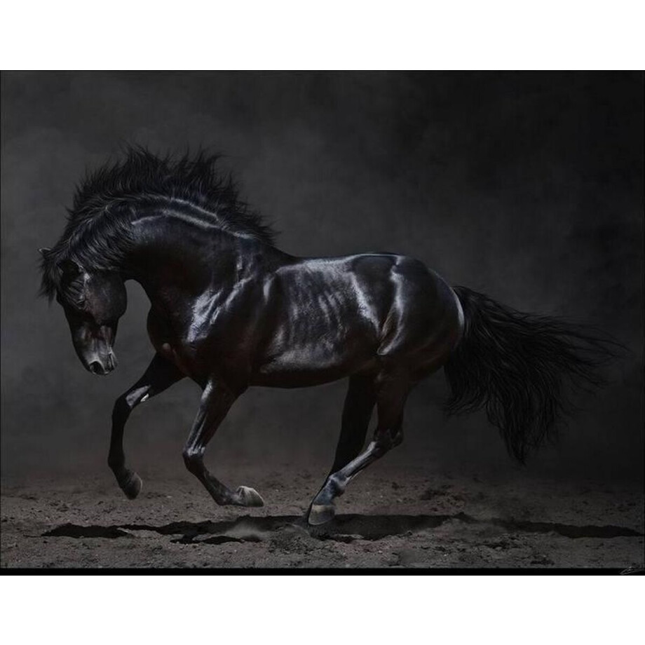 Kristal Helder Galerie kwaliteit Plexiglas 5mm. - Blind Aluminium Ophangframe - Luxe wanddecoratie - Fotokunst - professioneel verpakt en gratis bezorgd afbeelding 1