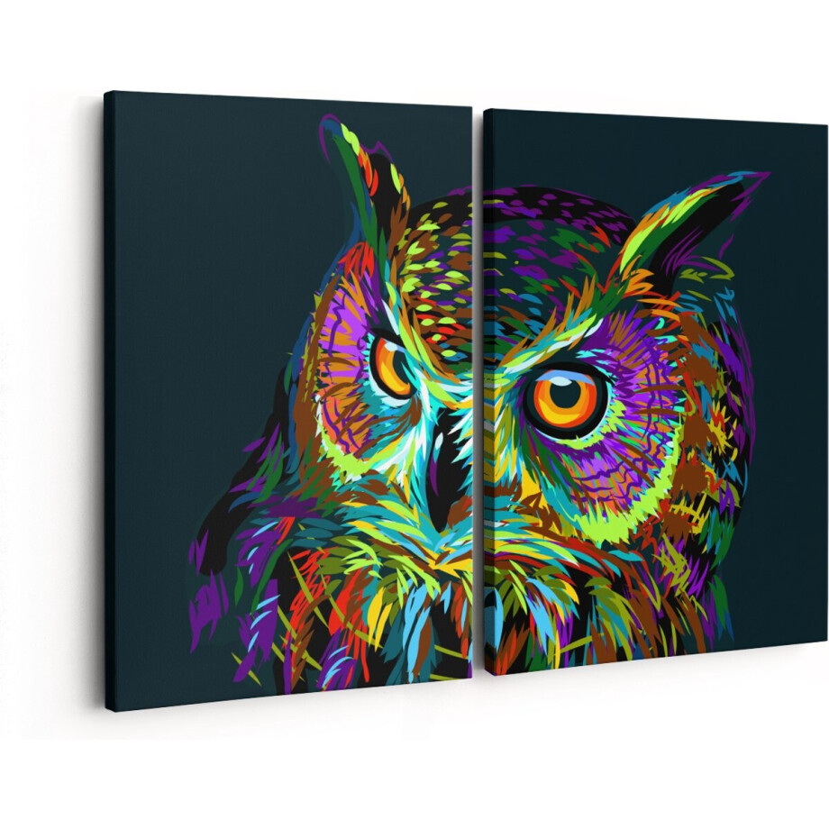 Artaza Canvas Schilderij Tweeluik Kleurrijke Uil - Abstract - 160x120 - Groot - Foto Op Canvas - Canvas Print afbeelding 1