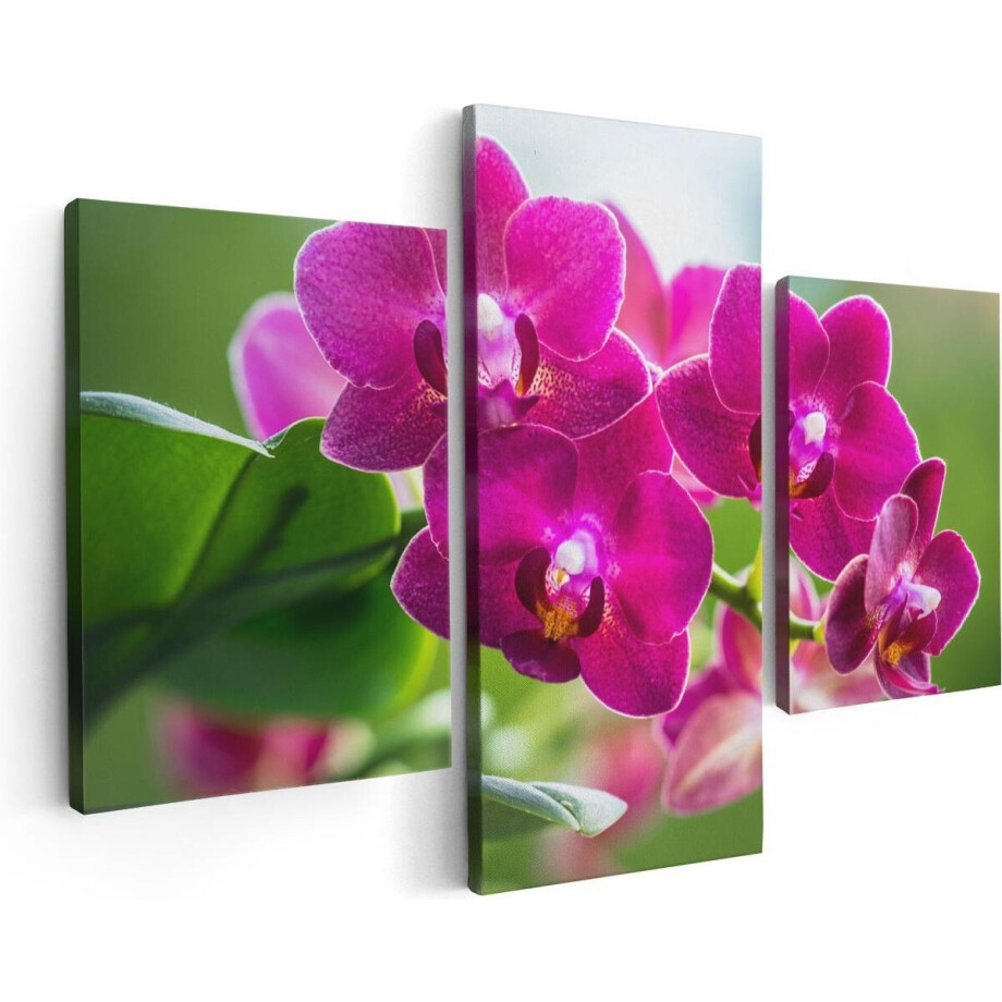 Artaza Canvas Schilderij Drieluik Roze Orchidee Bloemen - 90x60 - Foto Op Canvas - Canvas Print afbeelding 1
