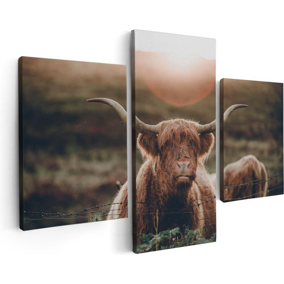 Artaza Canvas Schilderij Drieluik Schotse Hooglander Koe In De Zon - 90x60 - Foto Op Canvas - Canvas Print afbeelding 1