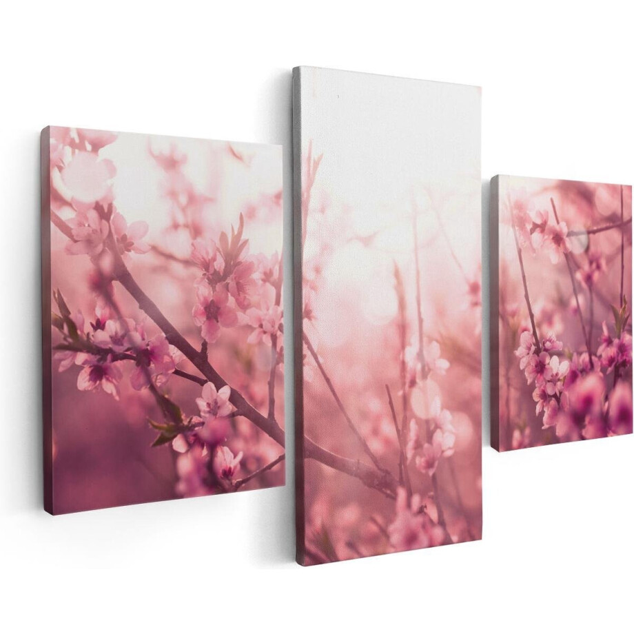 Artaza Canvas Schilderij Drieluik Roze Bloesemboom Met Zonneschijn - 90x60 - Foto Op Canvas - Canvas Print afbeelding 1