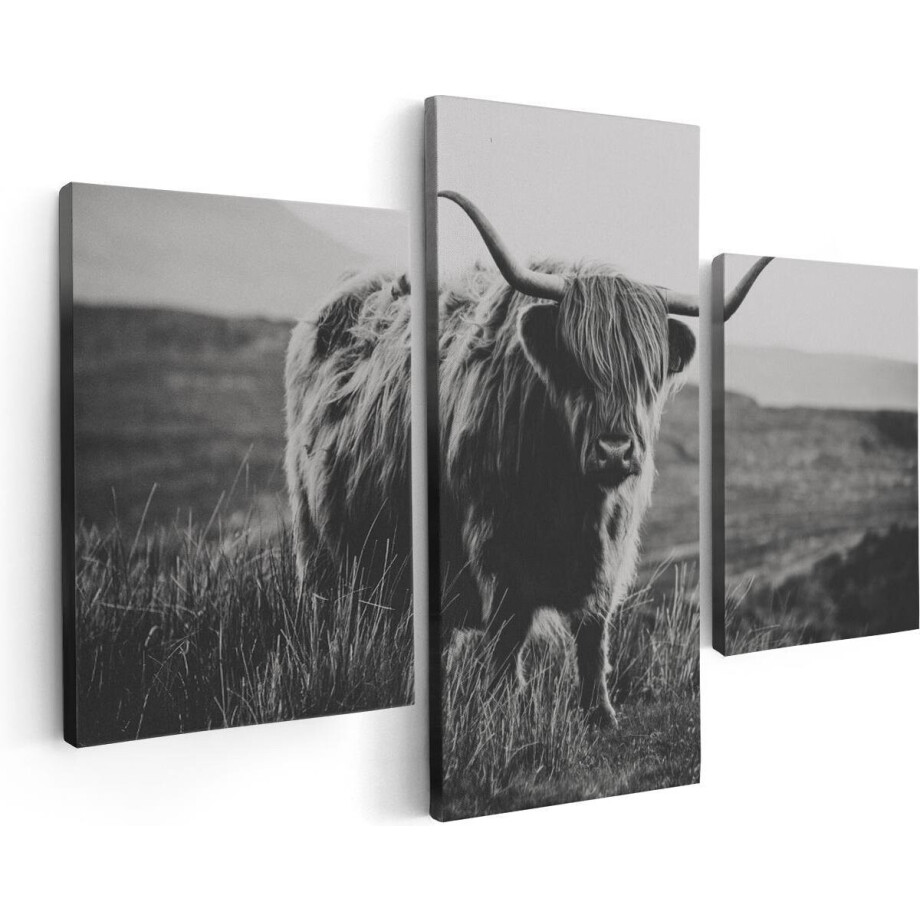 Artaza Canvas Schilderij Drieluik Schotse Hooglander Koe - Zwart Wit - 90x60 - Foto Op Canvas - Canvas Print Artaza Canvas Schilderij Drieluik Schotse Hooglander Koe - Zwart Wit - 90x60 - Foto Op Canvas - Canvas Print afbeelding 1