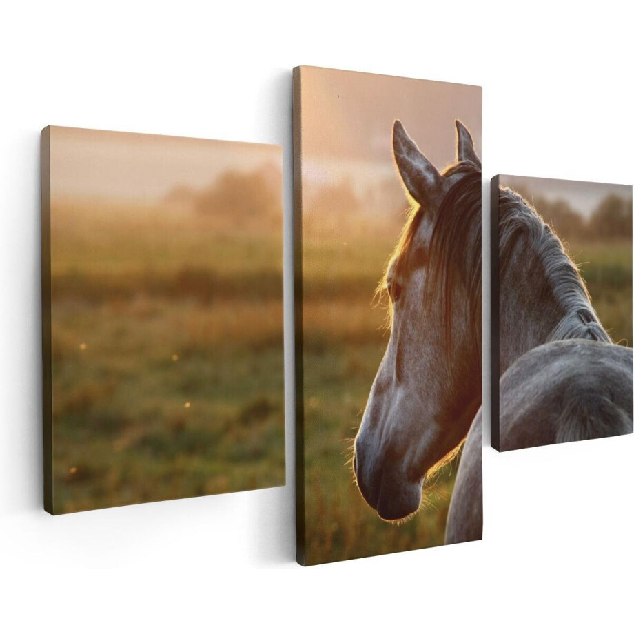Artaza Canvas Schilderij Drieluik Paard In De Weide Tijdens Zonsondergang - 90x60 - Foto Op Canvas - Canvas Print afbeelding 1