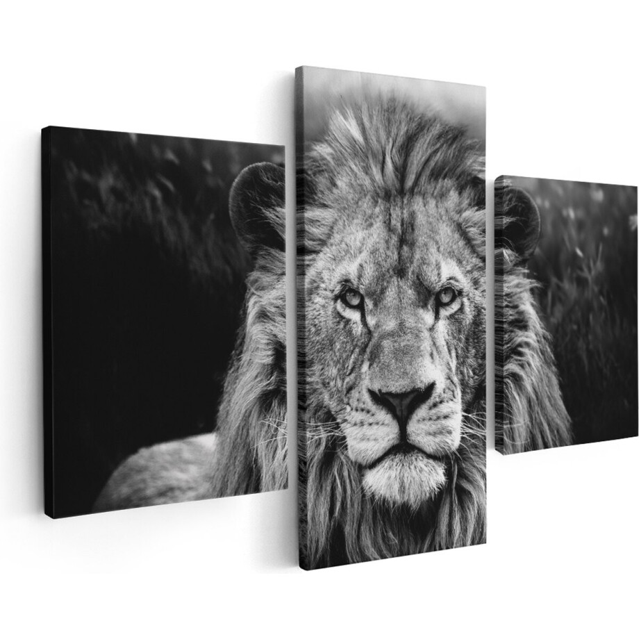Artaza Canvas Schilderij Drieluik Leeuw in het Wild - Leeuwenkop - Zwart Wit - 180x120 - Groot - Foto Op Canvas - Canvas Print afbeelding 1