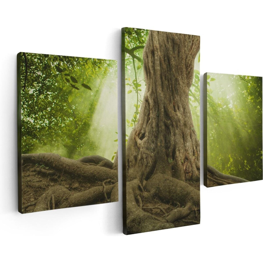 Artaza Canvas Schilderij Drieluik Grote Boom In Het Bos Met Wortels - 90x60 - Foto Op Canvas - Canvas Print afbeelding 1