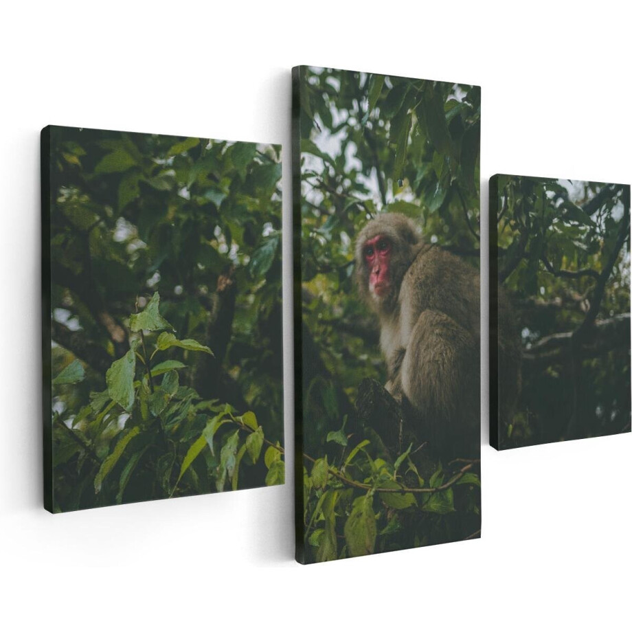 Artaza Canvas Schilderij Drieluik Aap In De Boom Tussen De Bladeren - 90x60 - Foto Op Canvas - Canvas Print afbeelding 1