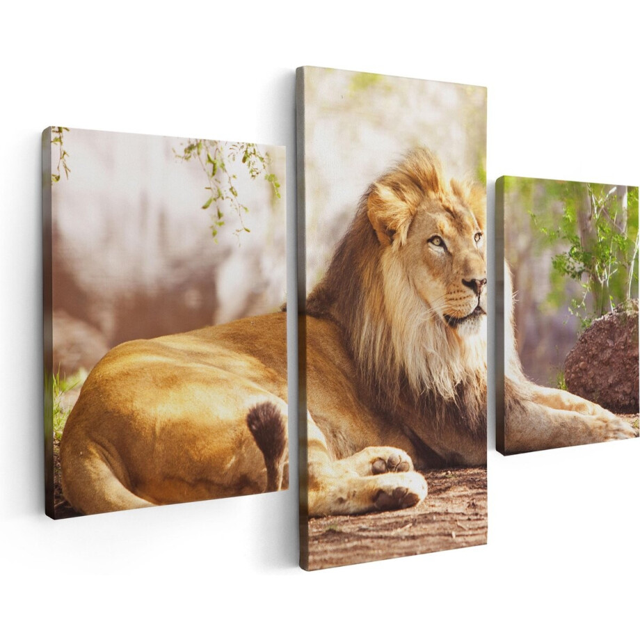 Artaza Canvas Schilderij Drieluik Leeuw - 90x60 - Foto Op Canvas - Canvas Print afbeelding 1
