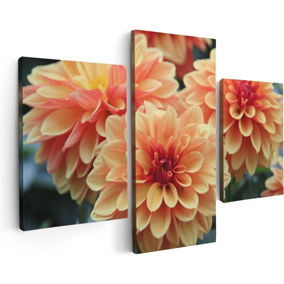 Artaza Canvas Schilderij Drieluik Oranje Dahlia Bloemen  - 90x60 - Foto Op Canvas - Canvas Print afbeelding 1