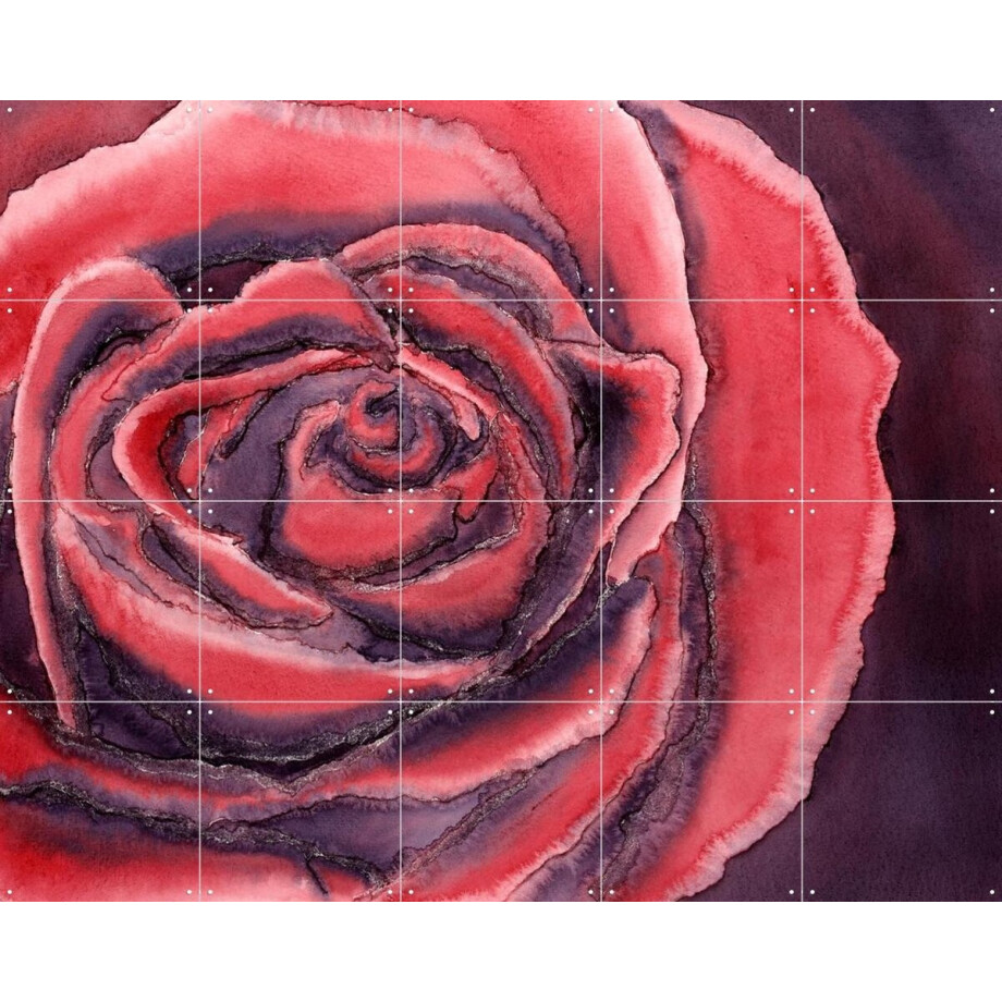 IXXI Red Rose, Natalie Bruns - 100 x 80 cm - Gratis ophangtool - Grote wanddecoratie en posters - Aquarel, Kleurrijk, Eetkamer, Woonkamer, Slaapkamer afbeelding 1