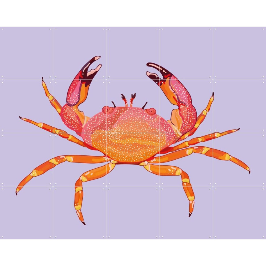 IXXI Sao, Lotte Snoek - 100 x 80 cm - Gratis ophangtool - Grote wanddecoratie en posters - Kleurrijk, Grafisch Ontwerp, Digitale Kunst, Illustraties IXXI Sao, Lotte Snoek - 100 x 80 cm - Gratis ophangtool - Grote wanddecoratie en posters - Kleurrijk, Grafisch Ontwerp, Digitale Kunst, Illustraties afbeelding 1