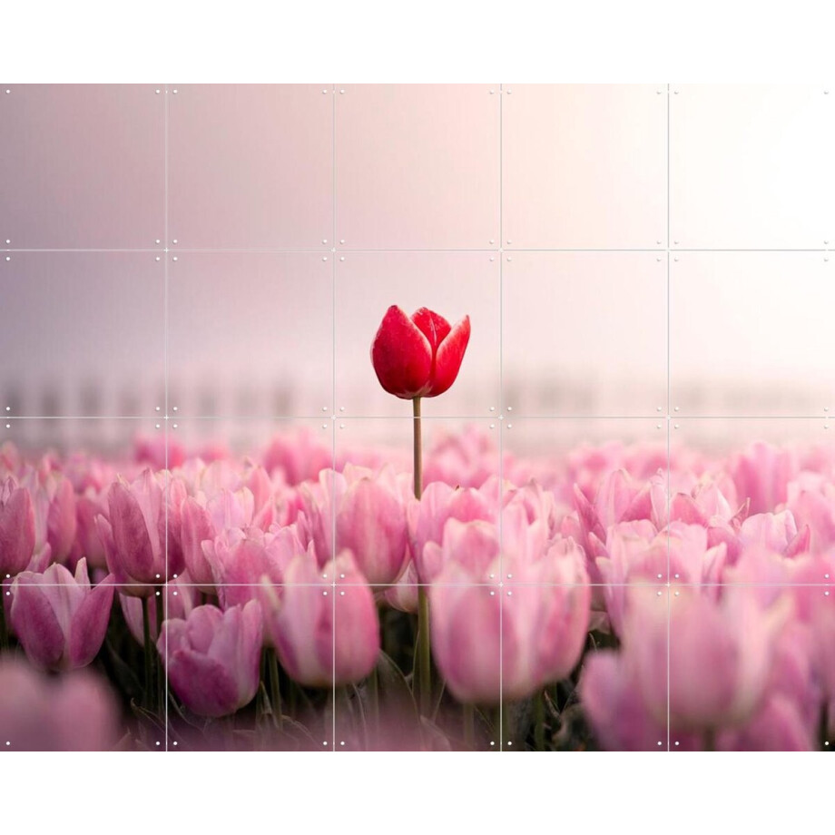IXXI Dutch Rebels Romanticist, Claire Droppert - 100 x 80 cm - Gratis ophangtool - Grote wanddecoratie en posters - Naturalisme, Romantiek afbeelding 1