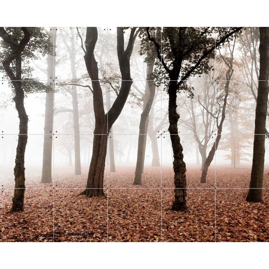 IXXI Whispering, Claire Droppert - 100 x 80 cm - Gratis ophangtool - Grote wanddecoratie en posters - Naturalisme, Fotografie, Realisme, Woonkamer afbeelding 1