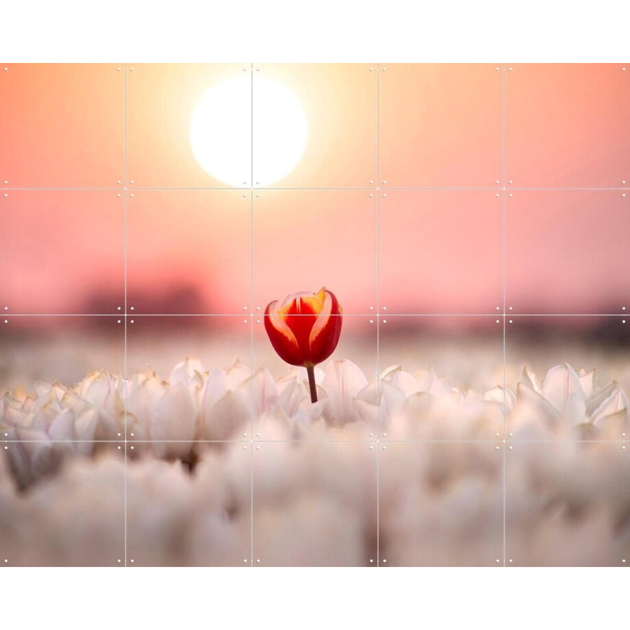 IXXI Dutch Rebels Heartbreaker, Claire Droppert - 100 x 80 cm - Gratis ophangtool - Grote wanddecoratie en posters - Fotografie, Naturalisme afbeelding 1