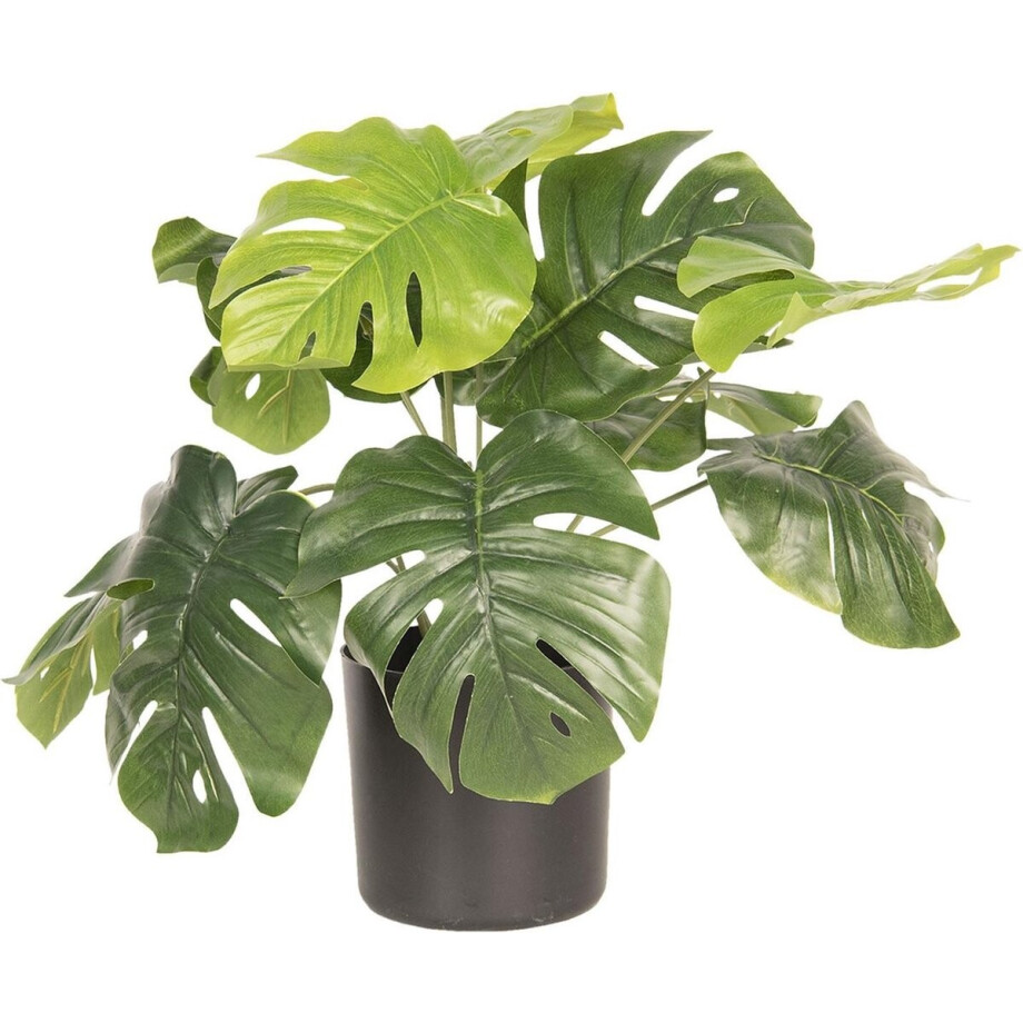 Clayre & Eef Kunstplant 40 cm Groen Kunststof Clayre & Eef Kunstplant 40 cm Groen Kunststof afbeelding 1