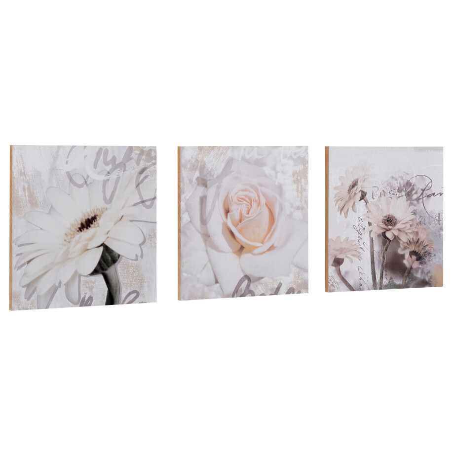 Home affaire Artprint S., D.: Gerbera's detail afbeelding 1