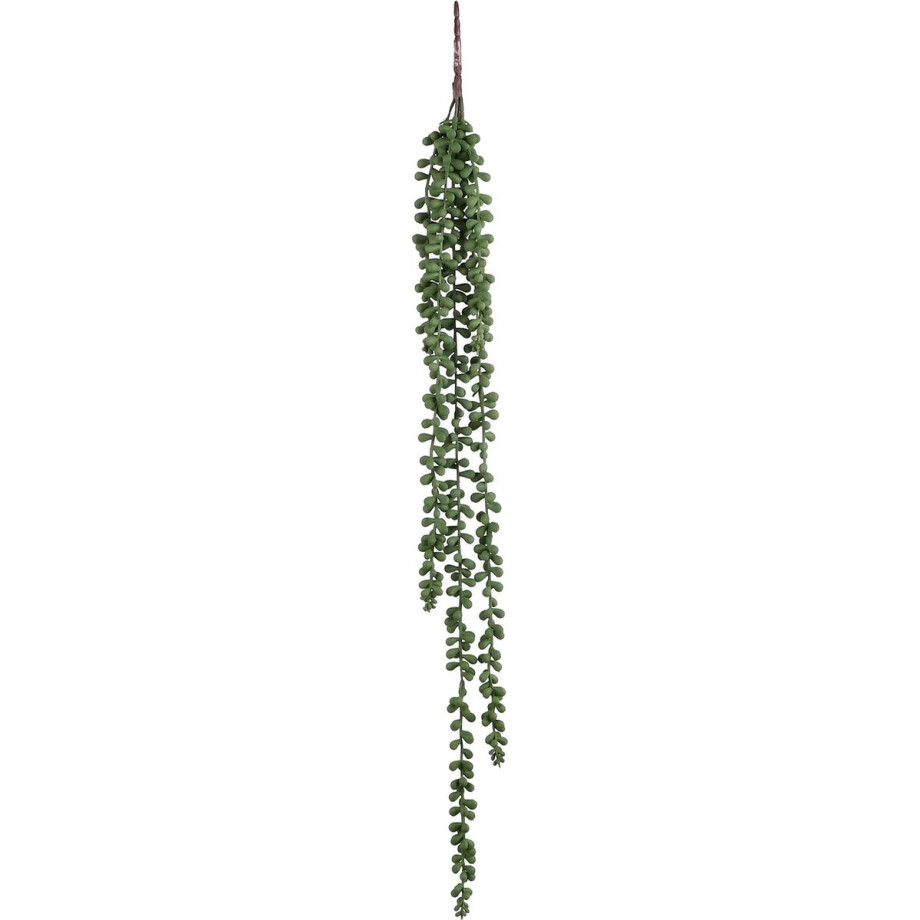 Mica Decorations Senecio Kunst Hangplant - H71 x Ø5 cm - Groen Mica Decorations Senecio Kunst Hangplant - H71 x Ø5 cm - Groen afbeelding 1