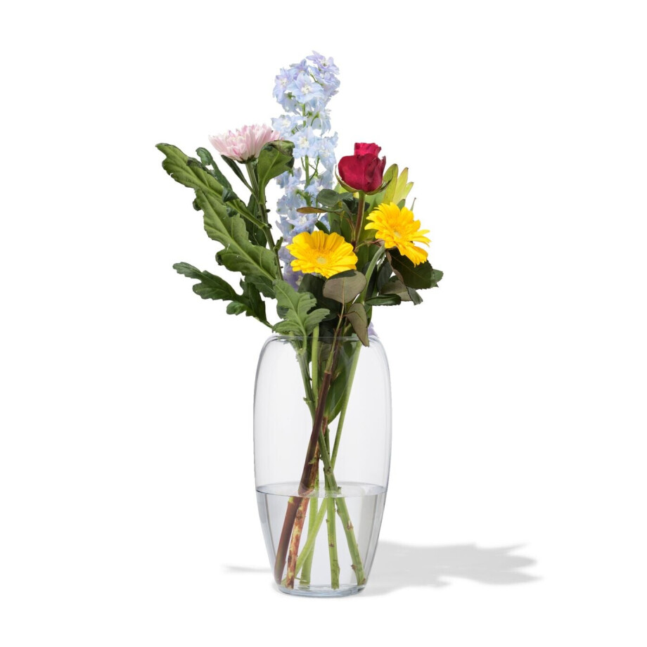HEMA HEMA Vaas 29cm Glas (transparant) HEMA HEMA Vaas 29cm Glas (transparant) afbeelding 1