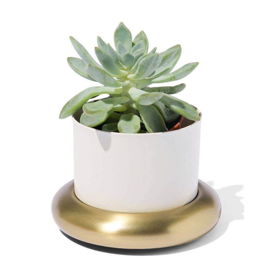 HEMA HEMA Bloempot Ø10x6.5cm Metaal Met Schotel Wit-goud (wit) HEMA HEMA Bloempot Ø10x6.5cm Metaal Met Schotel Wit-goud (wit) afbeelding 1
