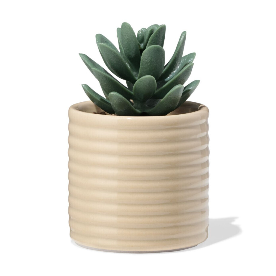 HEMA HEMA Bloempot ⌀7x6.6cm Keramiek Ribbels Beige (beige) HEMA HEMA Bloempot ⌀7x6.6cm Keramiek Ribbels Beige (beige) afbeelding 1