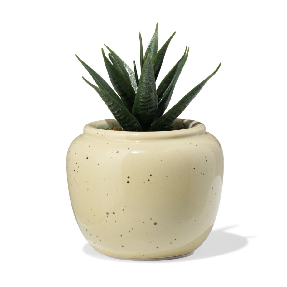 HEMA HEMA Bloempot ⌀7x6.6cm Keramiek Spikkels Beige (wit) afbeelding 1