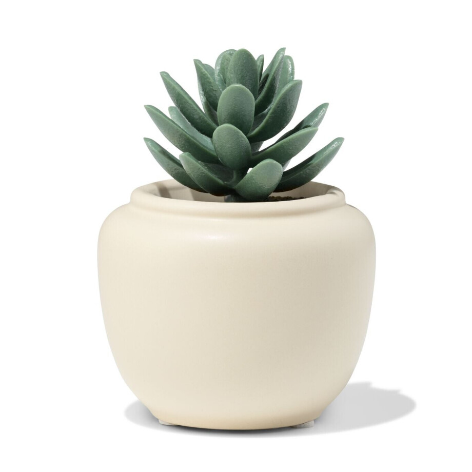 HEMA HEMA Bloempot ⌀7x7.4cm Keramiek Crème (creme) HEMA HEMA Bloempot ⌀7x7.4cm Keramiek Crème (creme) afbeelding 1