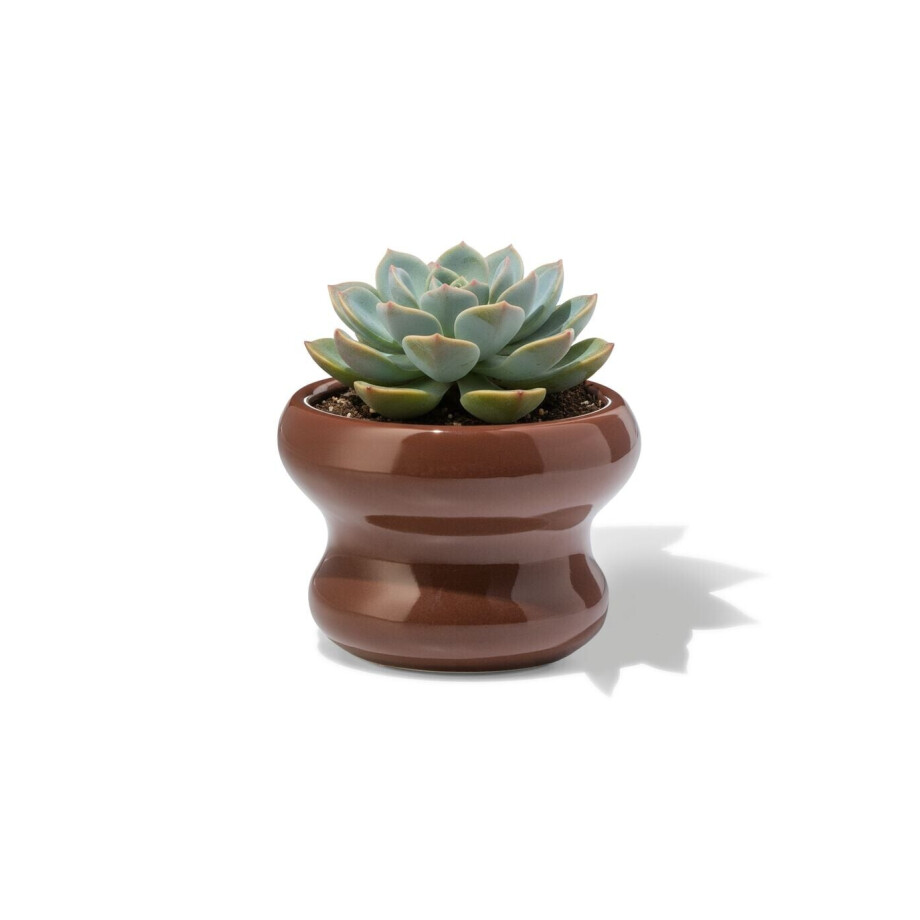 HEMA HEMA Bloempot ⌀13x9cm Keramiek Blob Bruin (donkerbruin) afbeelding 1