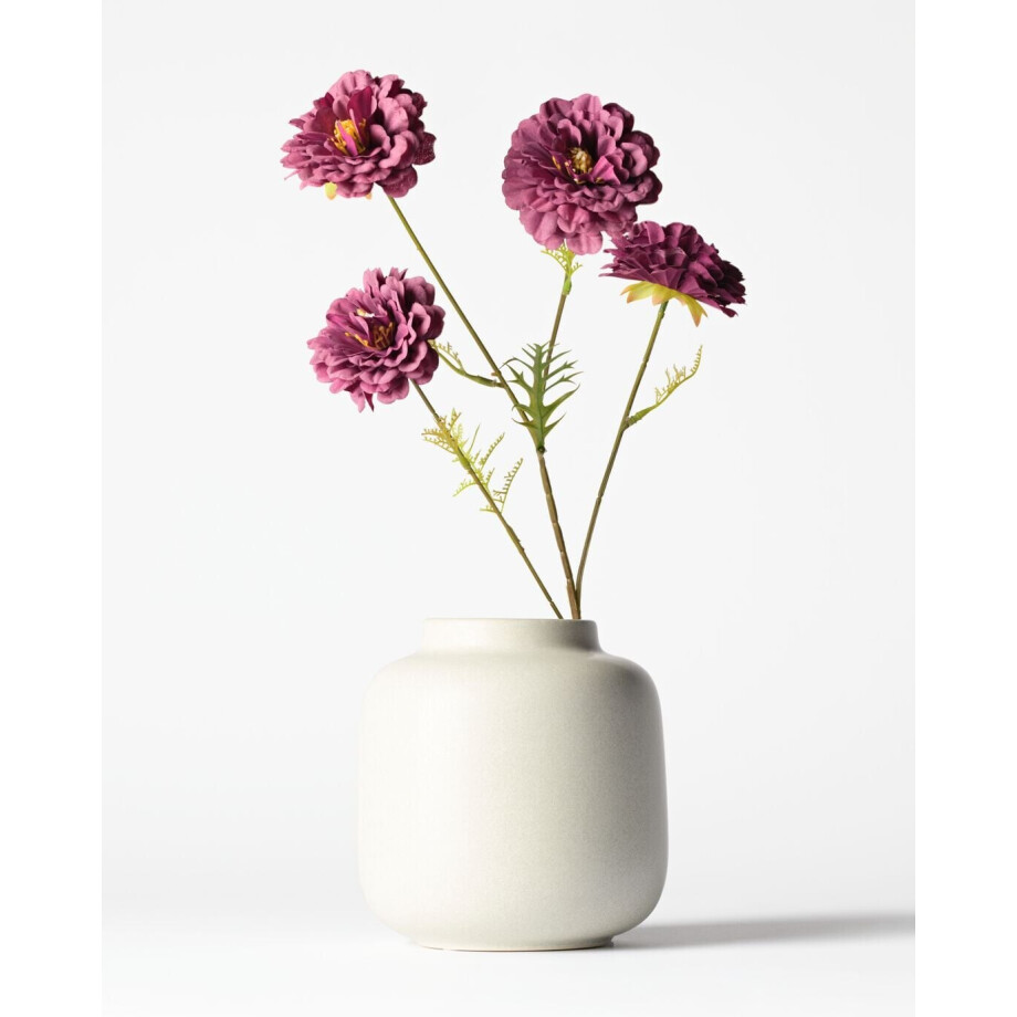 HEMA HEMA Vaas ⌀15x18cm Bink Keramiek Wit (wit) HEMA HEMA Vaas ⌀15x18cm Bink Keramiek Wit (wit) afbeelding 1