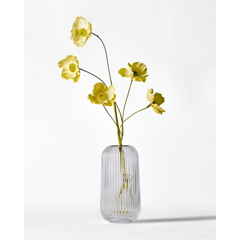HEMA HEMA Vaas ⌀16.5x20.5cm Bink Glas Ribbel Transparant (transparant) afbeelding 1