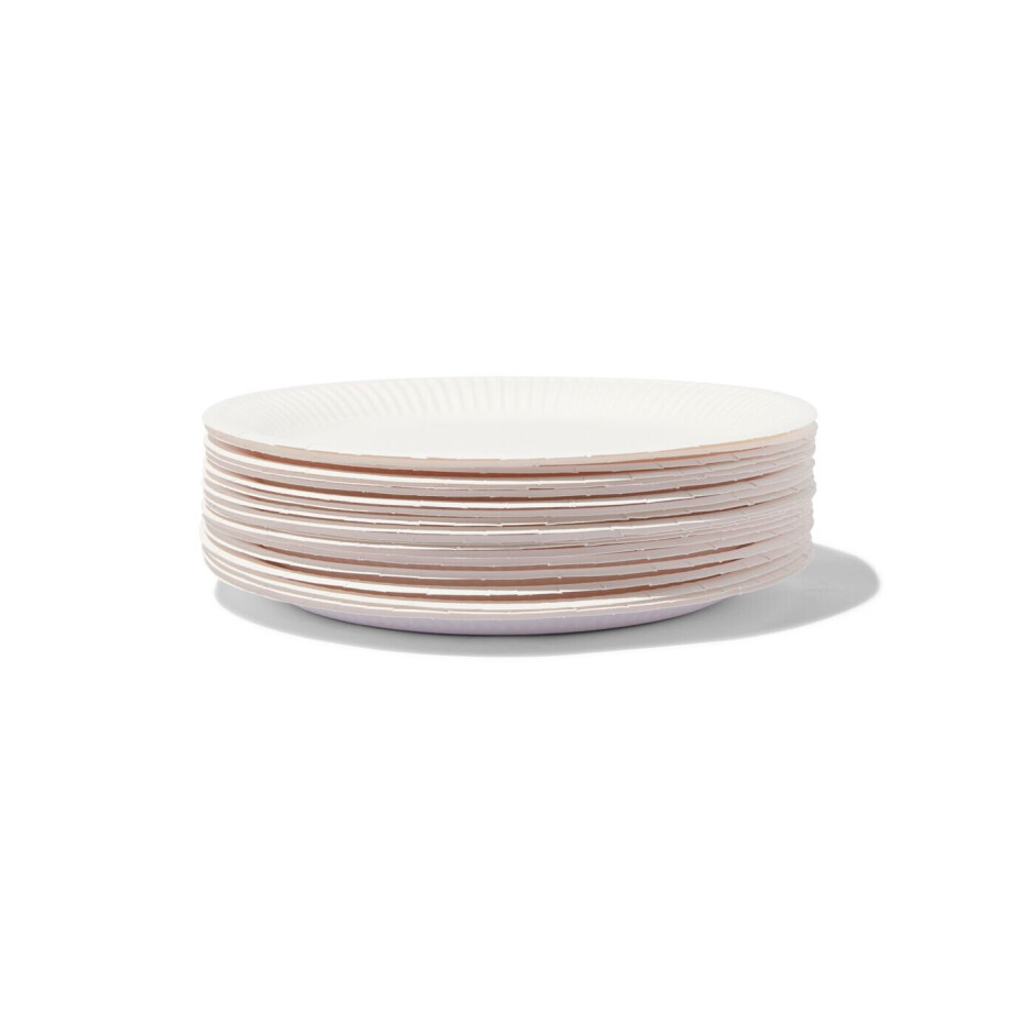 HEMA HEMA Borden Karton Ø22.6 Cm 20 Stuks (wit) afbeelding 1