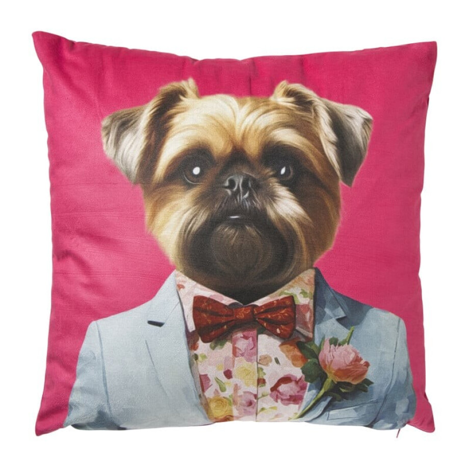 Kussen hond - multikleur - 45x45 cm afbeelding 