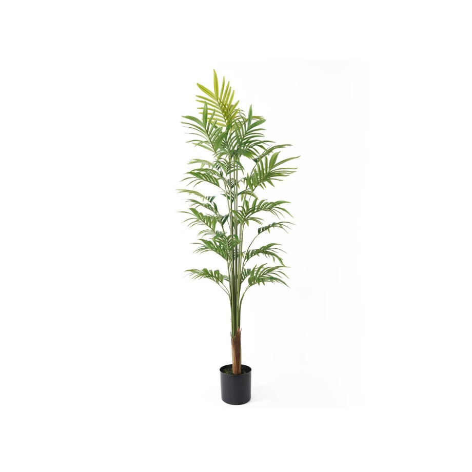 Kunstplant Palmboom | Present Time afbeelding 1