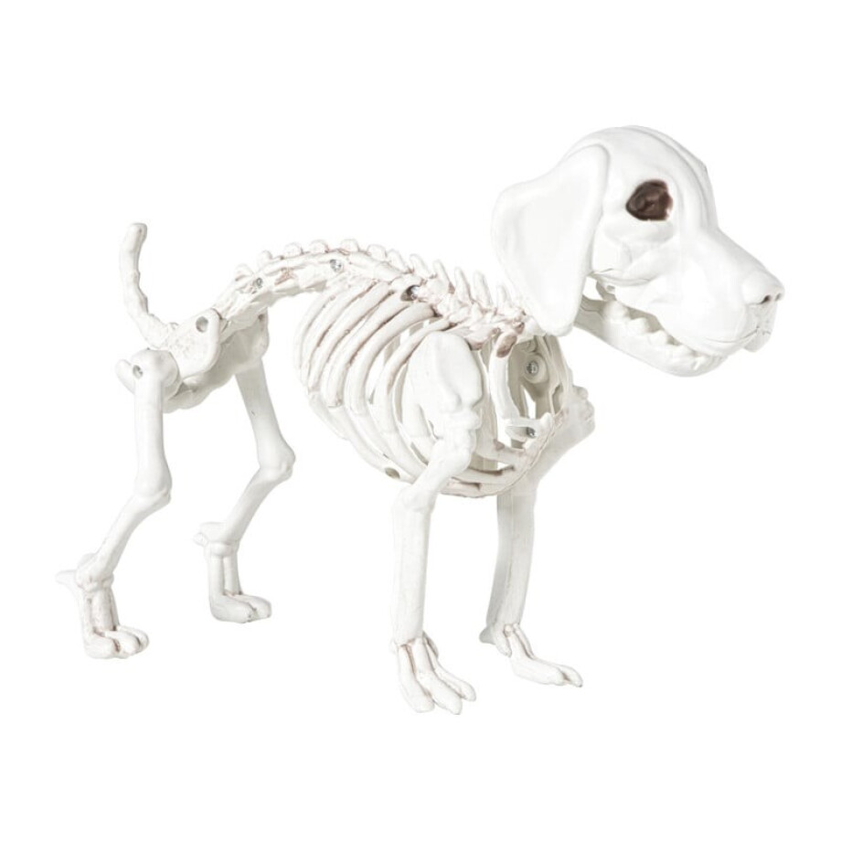 Halloween decoratie hondenskelet - wit - 21x27x12 cm Halloween decoratie hondenskelet - wit - 21x27x12 cm afbeelding