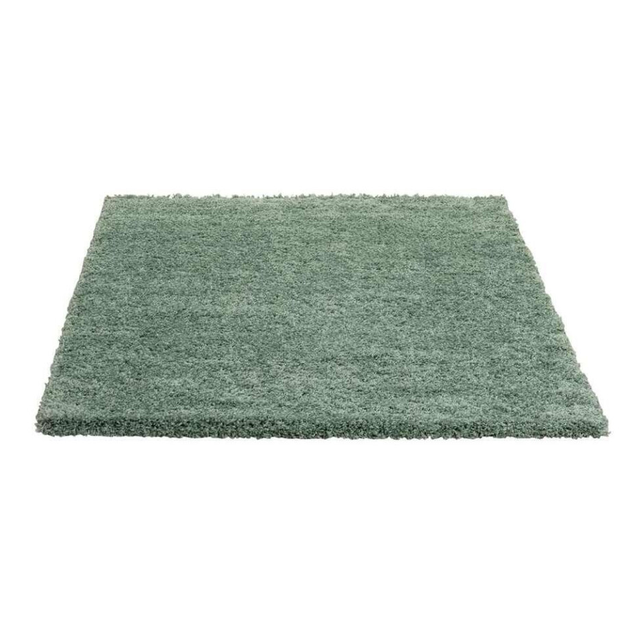 Leen Bakker - Vloerkleed Luxury - 160x230 Cm - Polypropyleen - Groen afbeelding 1