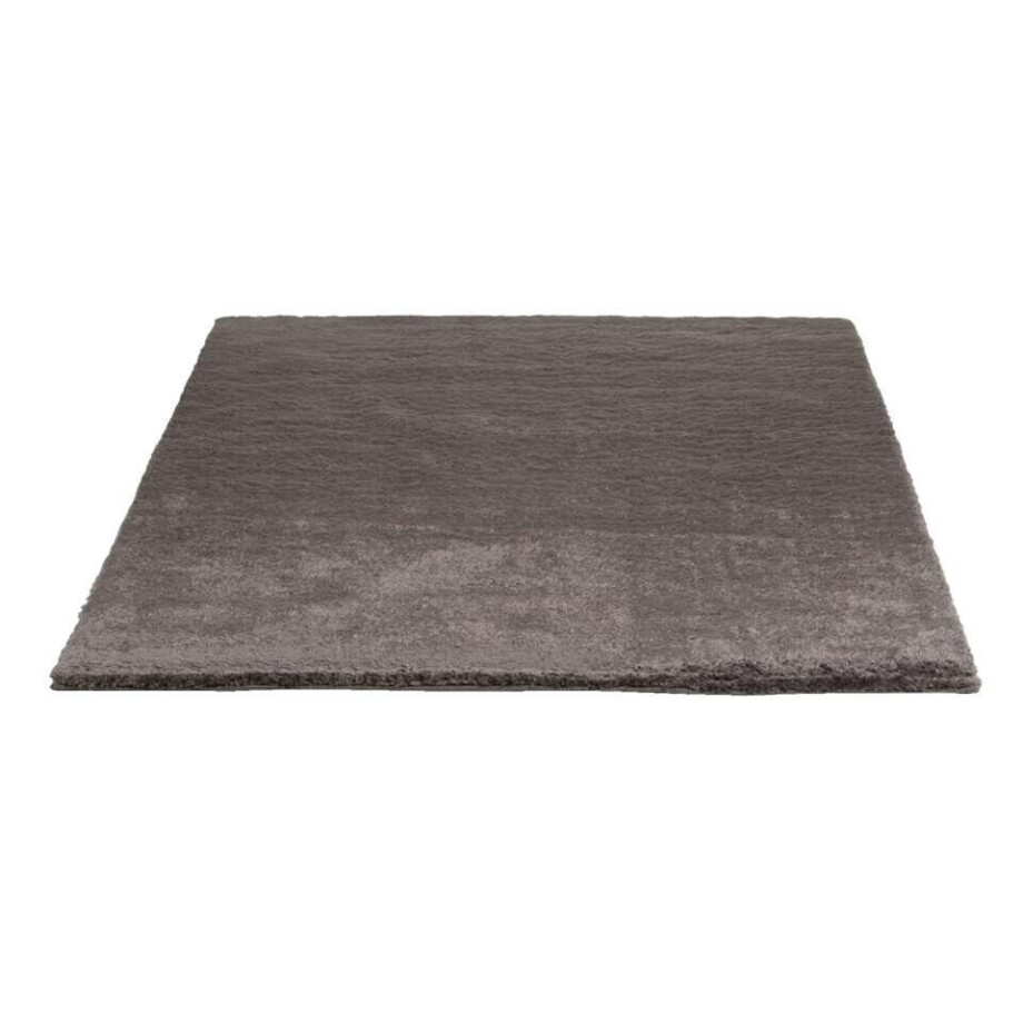 Leen Bakker - Vloerkleed Teddy - 160x230 Cm - Polyester - Taupe afbeelding 1