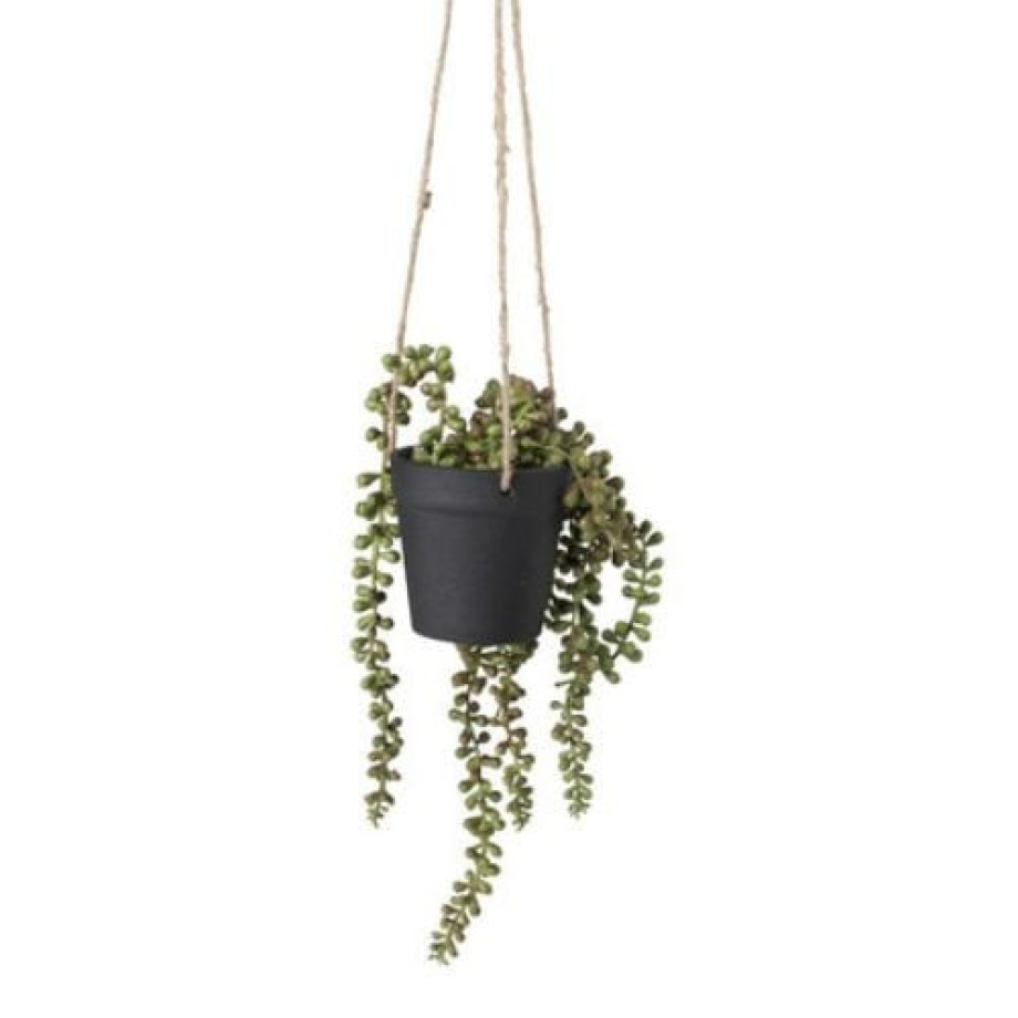 Hangplantje in pot - zwart - 9x9x70 cm afbeelding 