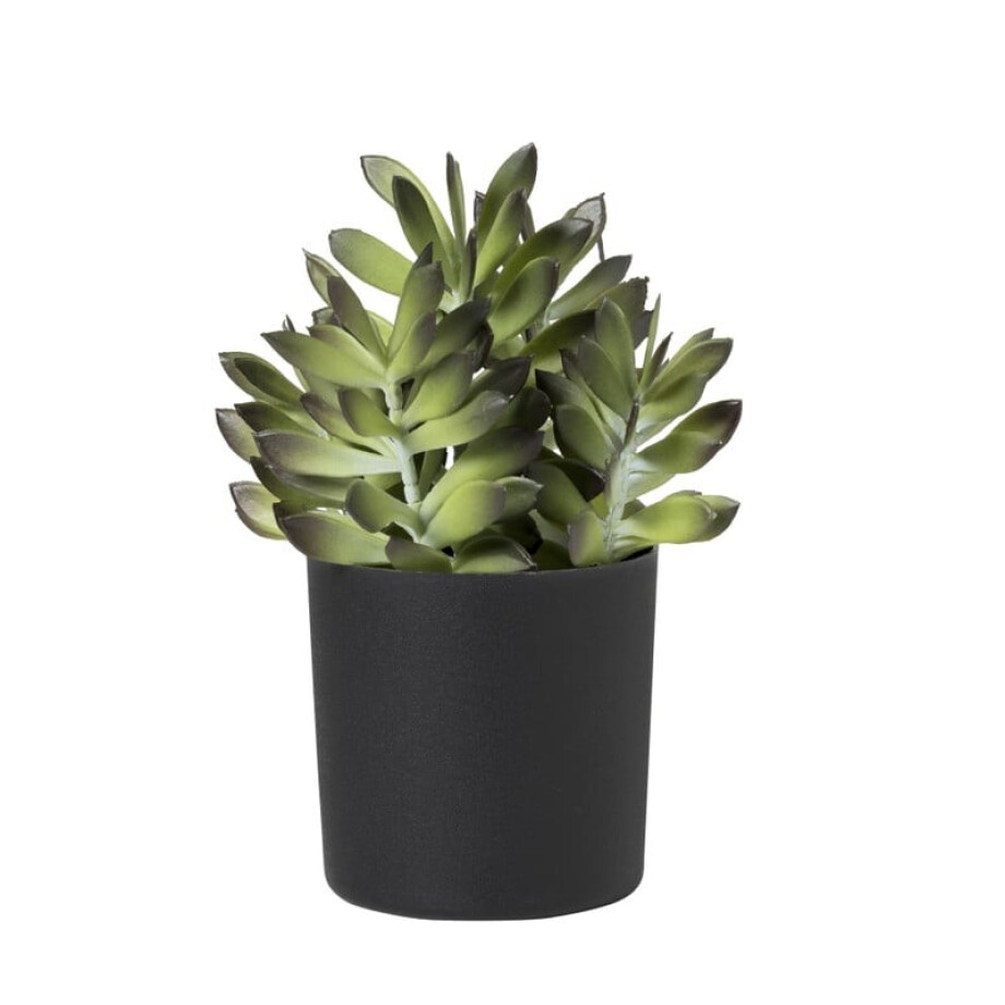 Kunstplant crassula in pot - groen/zwart - 25 cm afbeelding 